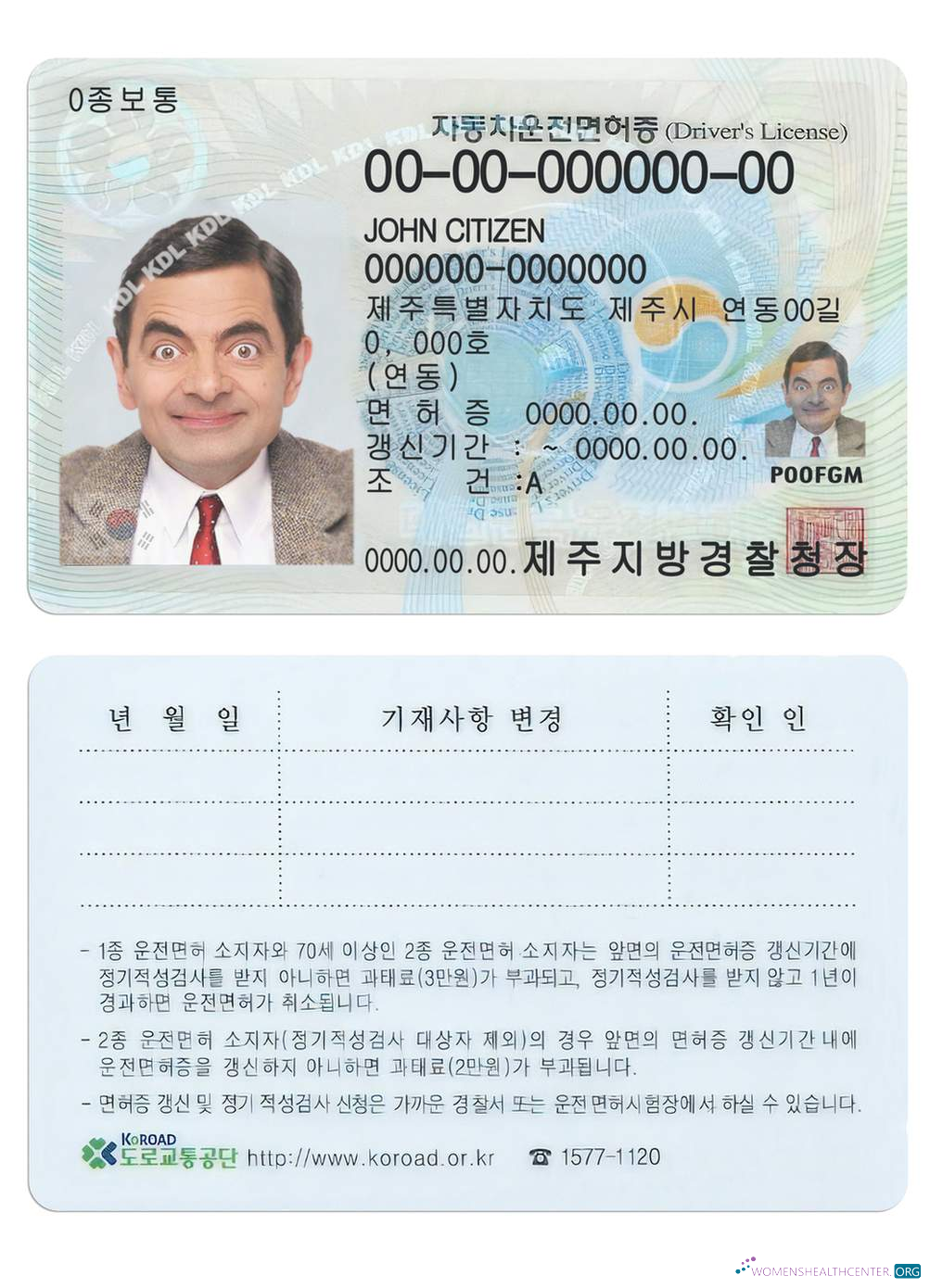 download South Korea driving license